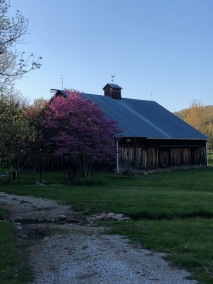 Boone Hollow Barn in April 2020